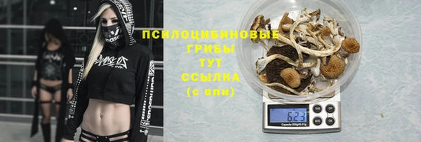 apvp Арсеньев