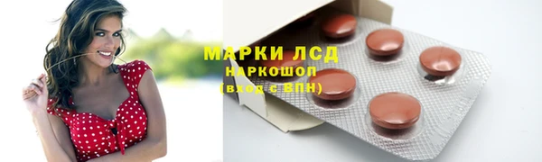 apvp Арсеньев